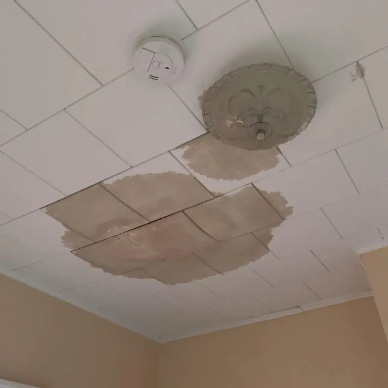 Ceiling Water Damage Repair in Passapatanzy, VA