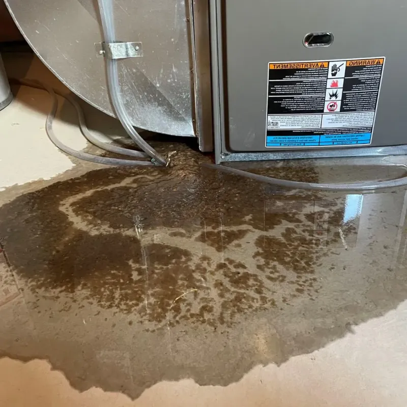 Pipe Burst and Leak Restoration in Passapatanzy, VA