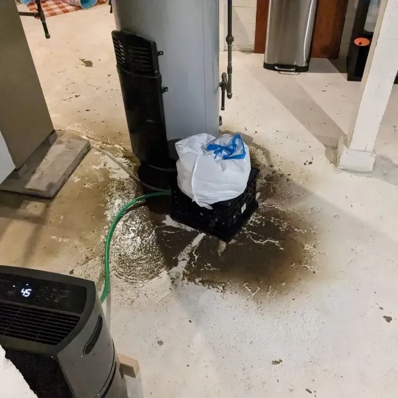Sewage Backup Cleanup Service in Passapatanzy, VA